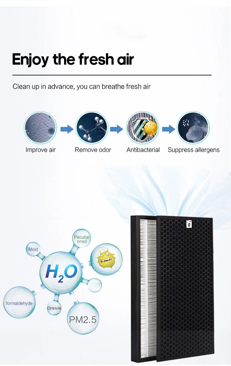 Air Purifier AP06（H12/H13）