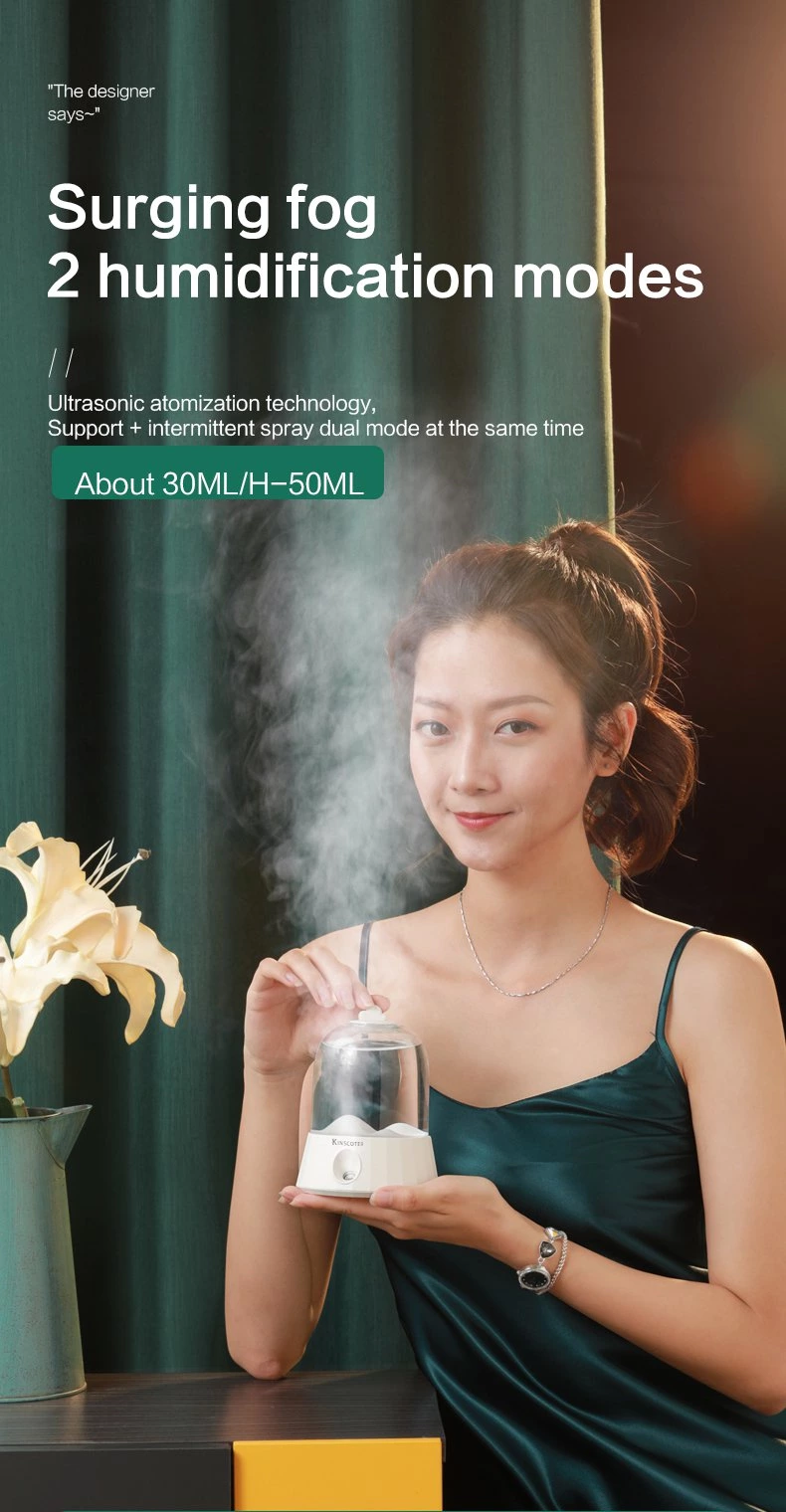 Air Humidifier QW-H17（480ml）