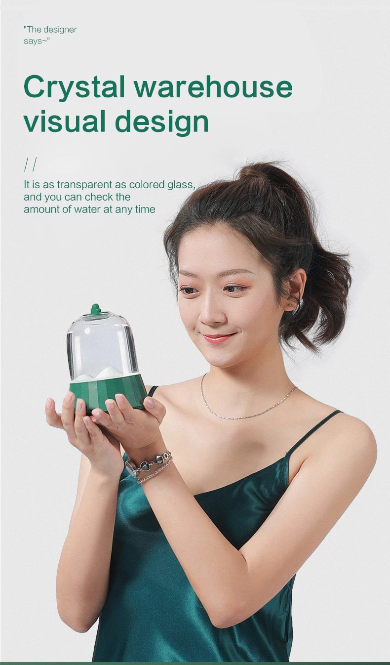 Air Humidifier QW-H17（480ml）