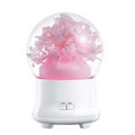 Aroma Diffuser GXZ-08（100ml）