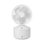 Desktop Fan F10