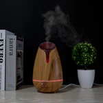 Aroma Diffuser 19211（120ml）