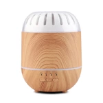 Aroma Diffuser 19203（120ml）