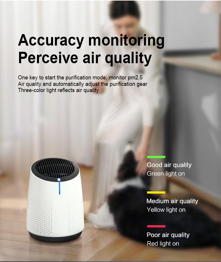 Air Purifier AC03（H11/H13）