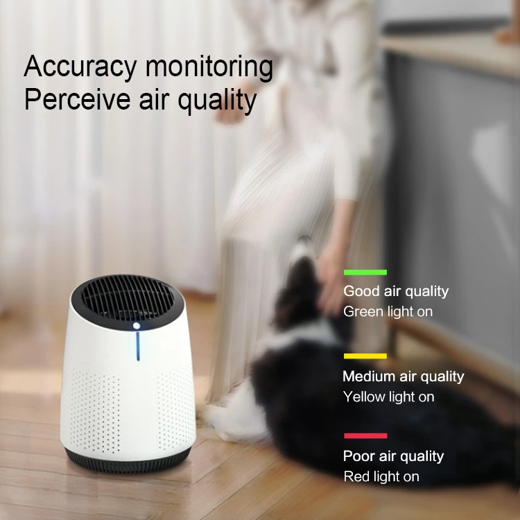 Air Purifier AC03（H11/H13）