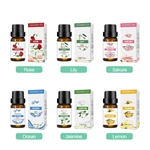 TOP 6 10ml Compound Essential Oil Set NO.：EO04