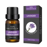 TOP 1 10ml Pure Essential Oil NO.：EO02