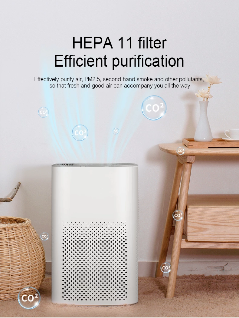 Air Purifier AC02（H11/H13）