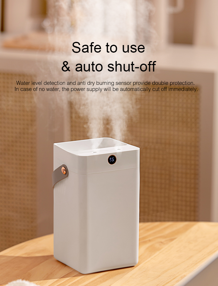 Air Humidifier DQ216/DQ217（3000ml）, Large capacity humidifier, Cost