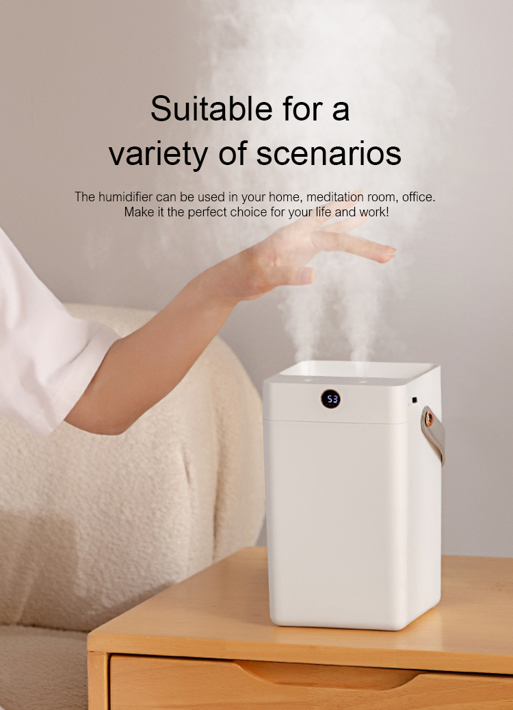 Air Humidifier DQ216/DQ217（3000ml）, Large capacity humidifier, Cost