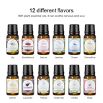 TOP 1 10ml Pure Essential Oil NO.：EO13