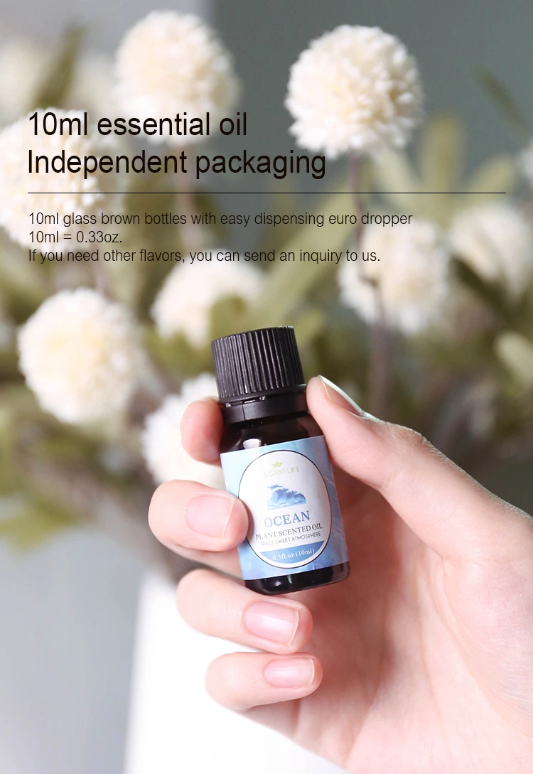 TOP 1 10ml Pure Essential Oil NO.：EO13