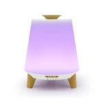 Air Humidifier KC-300（300ml）