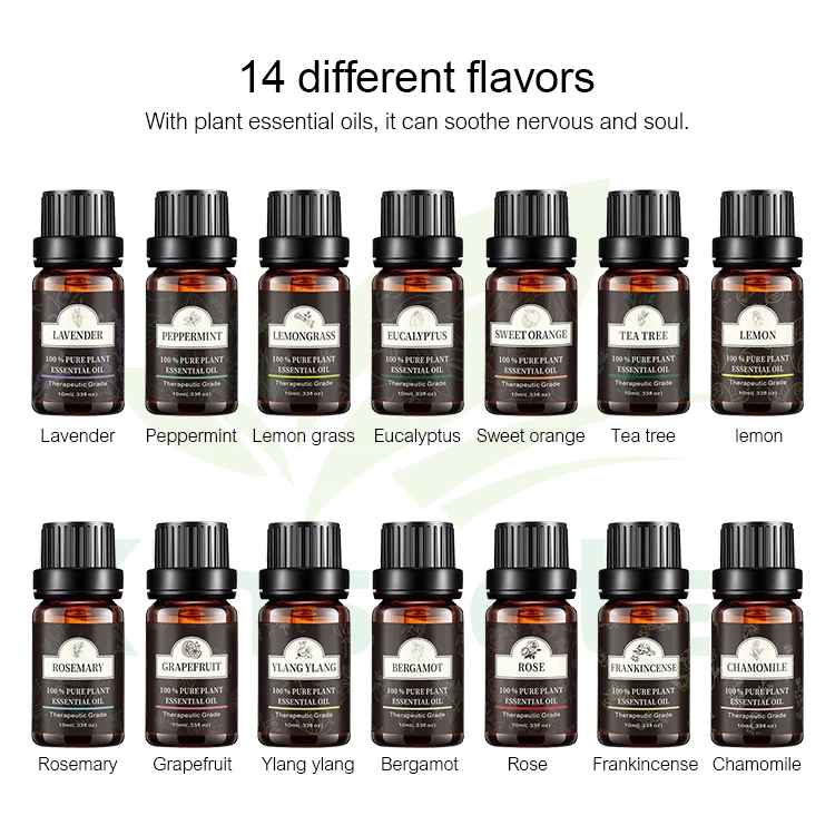 TOP 14 10ml Pure Essential Oil NO.：EOS014