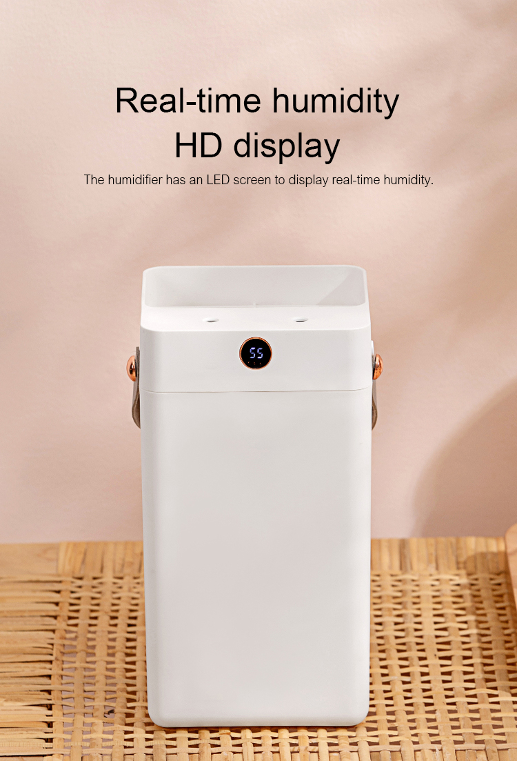 Air Humidifier DQ216/DQ217（3000ml）, Large capacity humidifier, Cost