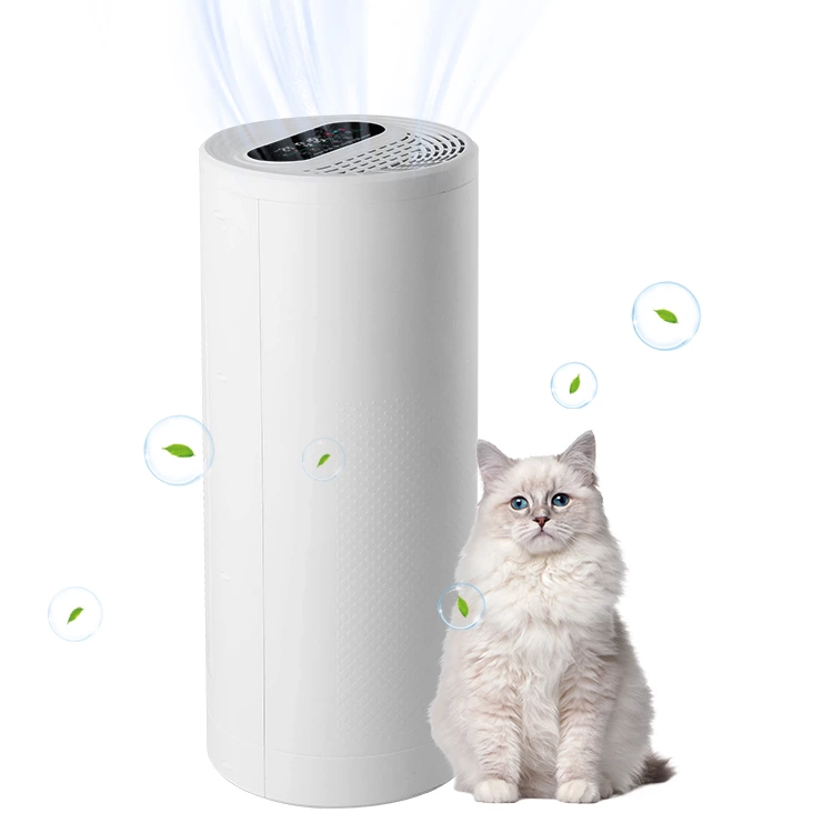 Air Purifier AC10（H13）