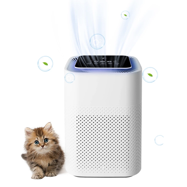 Air Purifier AC05（H13）