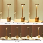 Modern Desk Lamp Ambient Light Night Light TL010