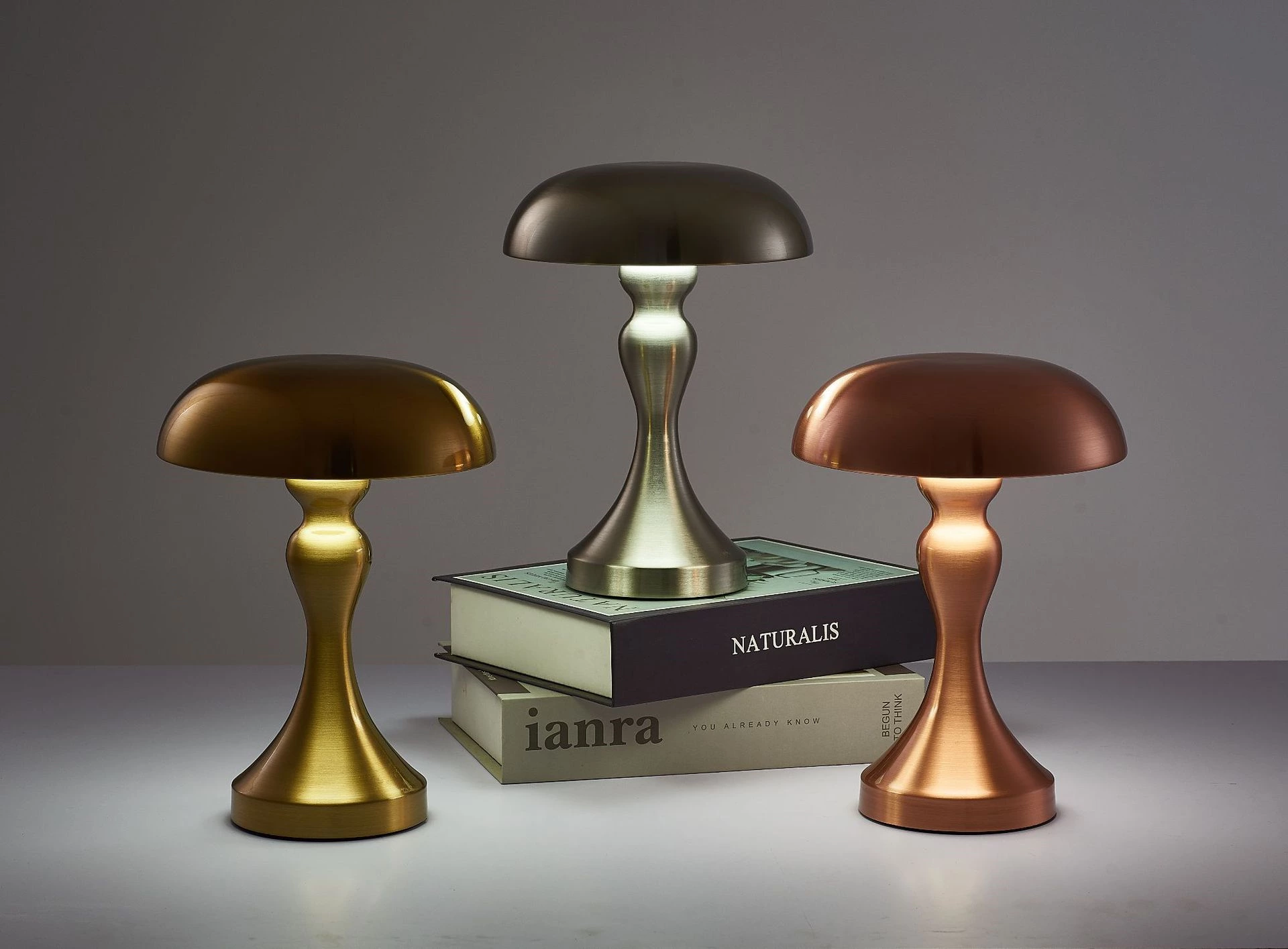 Electroplating Mushroom Lamp