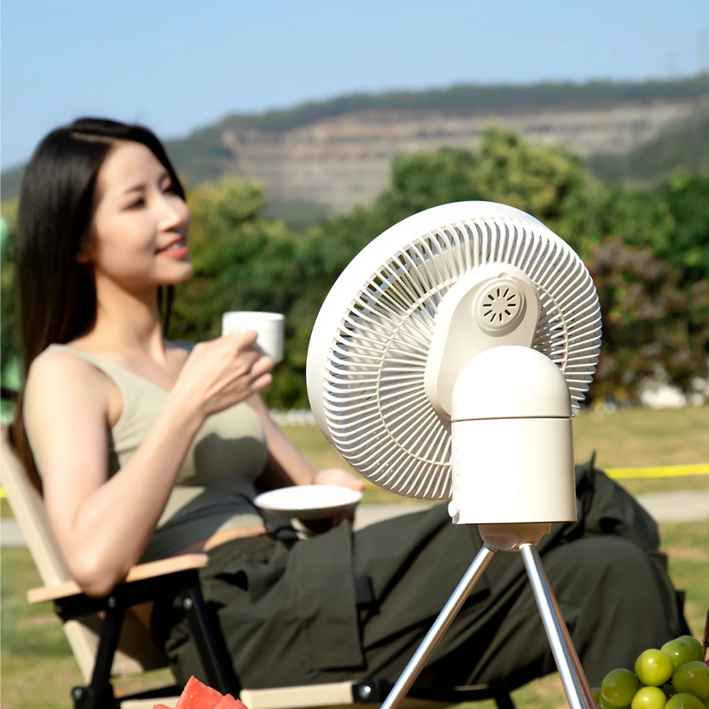 3 in 1 Multifunctional Fan F25