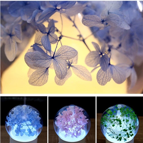 Eternal Flower Aroma Diffuser: The Perfect Combination of Beauty and Functionality