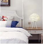 Goose Feather Modern Indoor Lighting Ambient Light