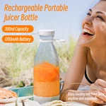 Portable juicer BDL-002