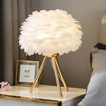 Goose Feather Modern Indoor Lighting Ambient Light