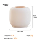 Elegant Aroma Diffuser M30 （300ml）