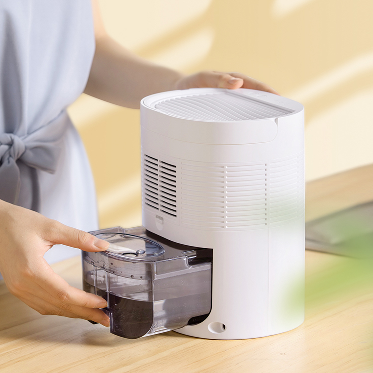 Discover the Ultimate Solution to Humidity: The Compact Home Dehumidifier