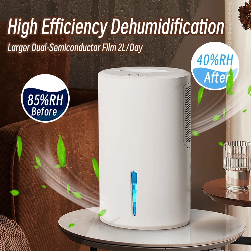 Introducing the Ultimate Solution to Damp Woes: Our Home Dehumidifier