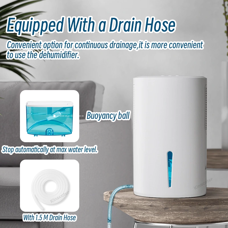 Introducing the Ultimate Solution to Damp Woes: Our Home Dehumidifier