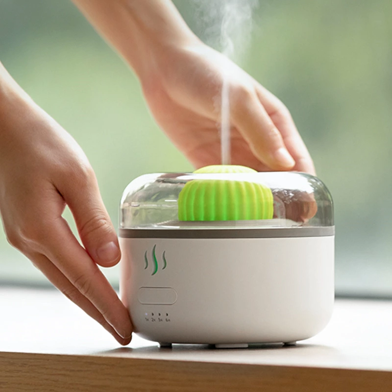 Bring Nature into Your Space with the Cactus-Shaped Aromatherapy Humidifier