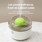 Cactus Aromatherapy Diffuser 622 (160ml)