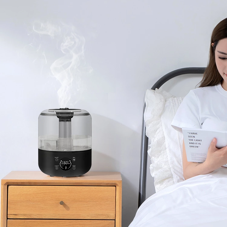 Analysis of Seasonal Demand for Humidifiers: A Guide for Buyers