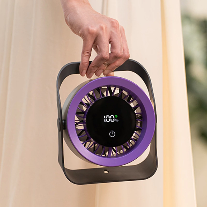 Multifunctional Desk Fan DQ-272