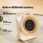 Multifunctional Desk Fan DQ-272