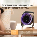 Multifunctional Desk Fan DQ-272